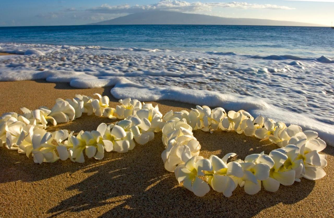 Steps To Waikiki Beach! Newly Renovated With 75" Tv ホノルル エクステリア 写真